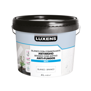 Kit diagnóstico e preparação (demo) — Humidade Ascendente